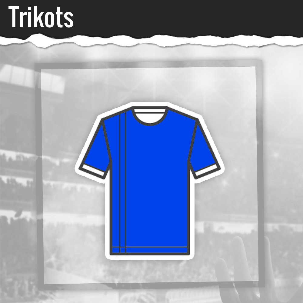 Schalke TRIKOTS Heim & Auswärts zum ULTRA-starken Preis kaufen