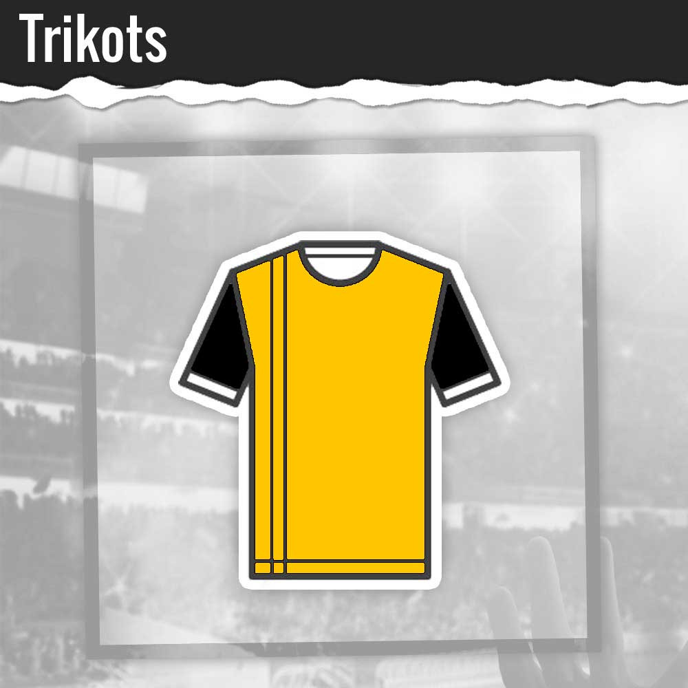 BVB Trikots Heim & Auswärts zum FAN-tastischen  Preis kaufen
