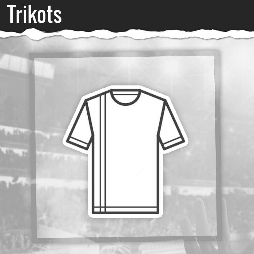 West Ham TRIKOTS Heim & Auswärts zum ULTRA-starken Preis kaufen
